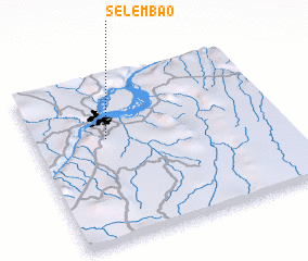 3d view of Selembao