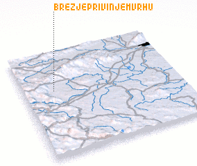 3d view of Brezje pri Vinjem Vrhu