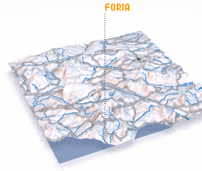 3d view of Foria