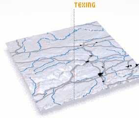 3d view of Texing