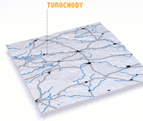 3d view of Tunochody
