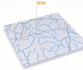 3d view of Séka