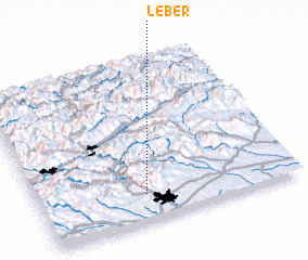 3d view of Leber