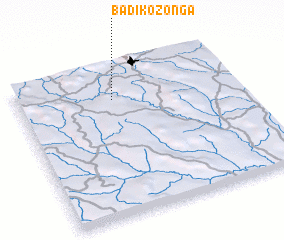 3d view of Badikozonga