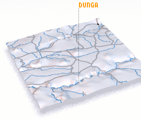 3d view of Dunga