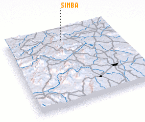 3d view of Simba