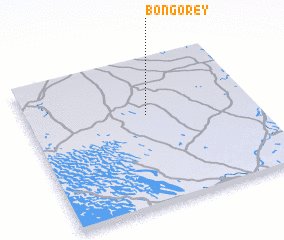 3d view of Bongorey