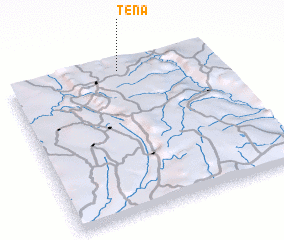 3d view of Tena