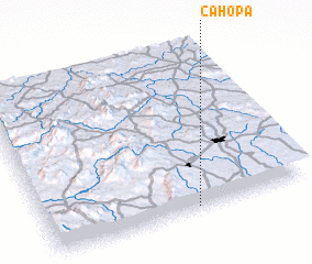 3d view of Cahopa