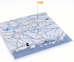 3d view of Fur