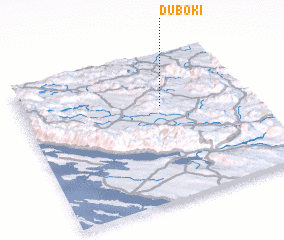 3d view of Duboki