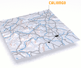 3d view of Caliongo