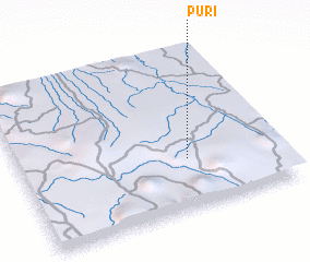 3d view of Puri