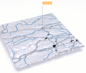 3d view of Horn