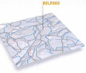 3d view of Belpoko