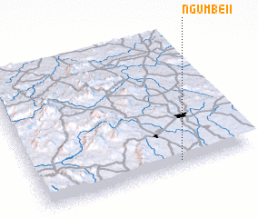 3d view of Ngumbe II