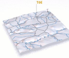 3d view of Toé