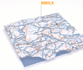 3d view of Barile