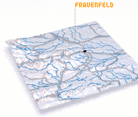 3d view of Frauenfeld