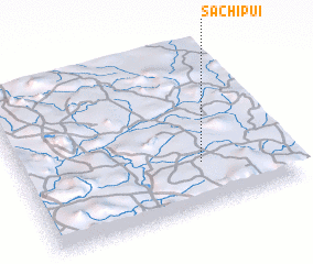 3d view of Sachipui