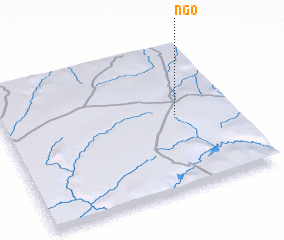 3d view of Ngo