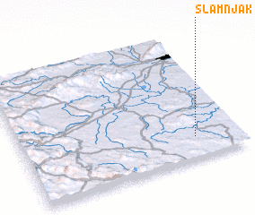 3d view of Slamnjak