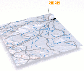 3d view of Ribari
