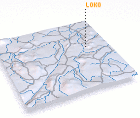 3d view of Loko