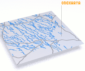 3d view of Onekwaya