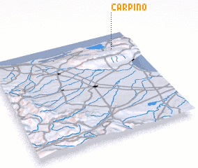 3d view of Carpino