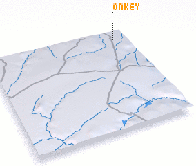 3d view of Onkey