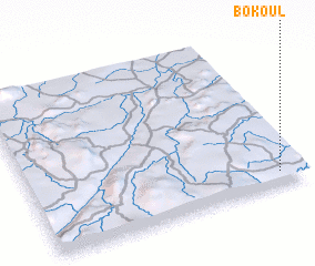 3d view of Bokoul