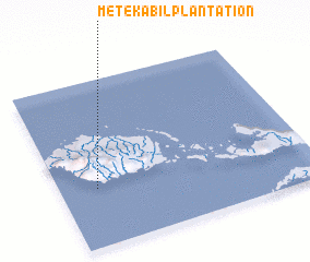 3d view of Metekabil Plantation