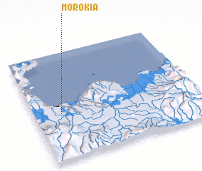 3d view of Morokia