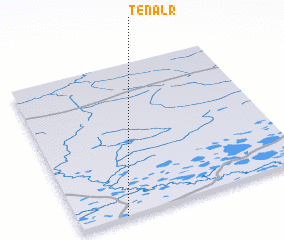 3d view of Tenalr