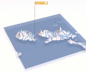 3d view of Auwali