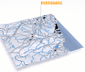 3d view of Burrawang