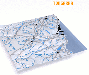 3d view of Tongarra