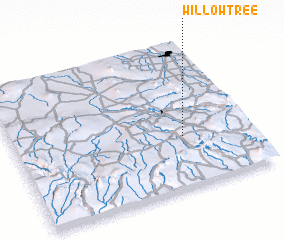 3d view of Willow Tree