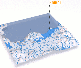 3d view of Moimoi