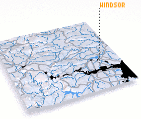 3d view of Windsor