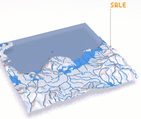 3d view of Sale