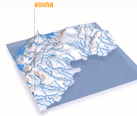 3d view of Au\