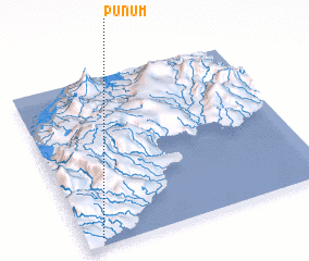 3d view of Punum