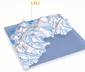 3d view of Leli