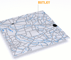 3d view of Motley