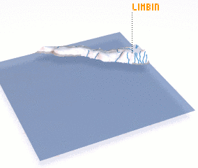 3d view of Limbin