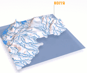 3d view of Hoiya