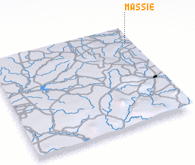 3d view of Massie