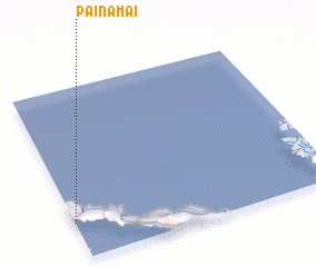 3d view of Painamai